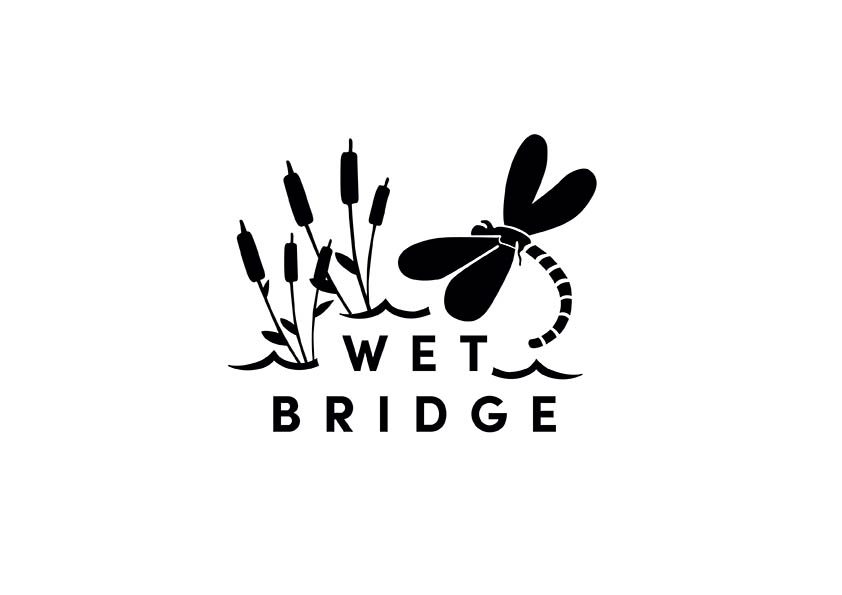Wet Bridge